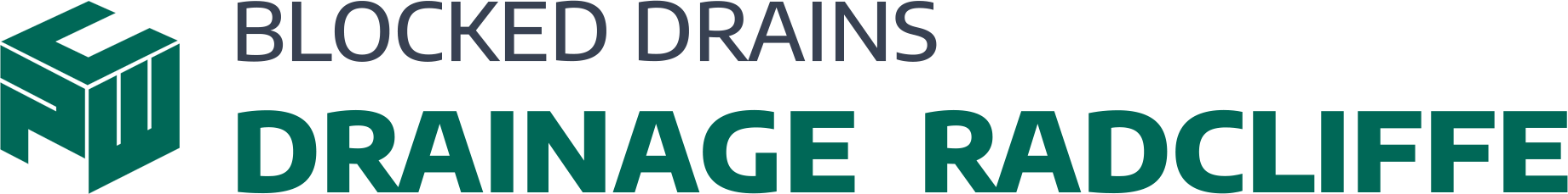 website logo